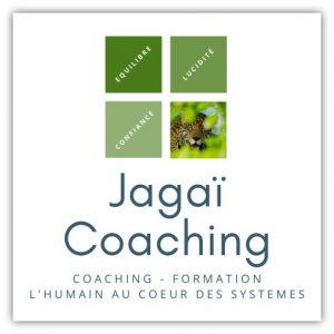 jagaï coaching l'humain au coeur des systemes