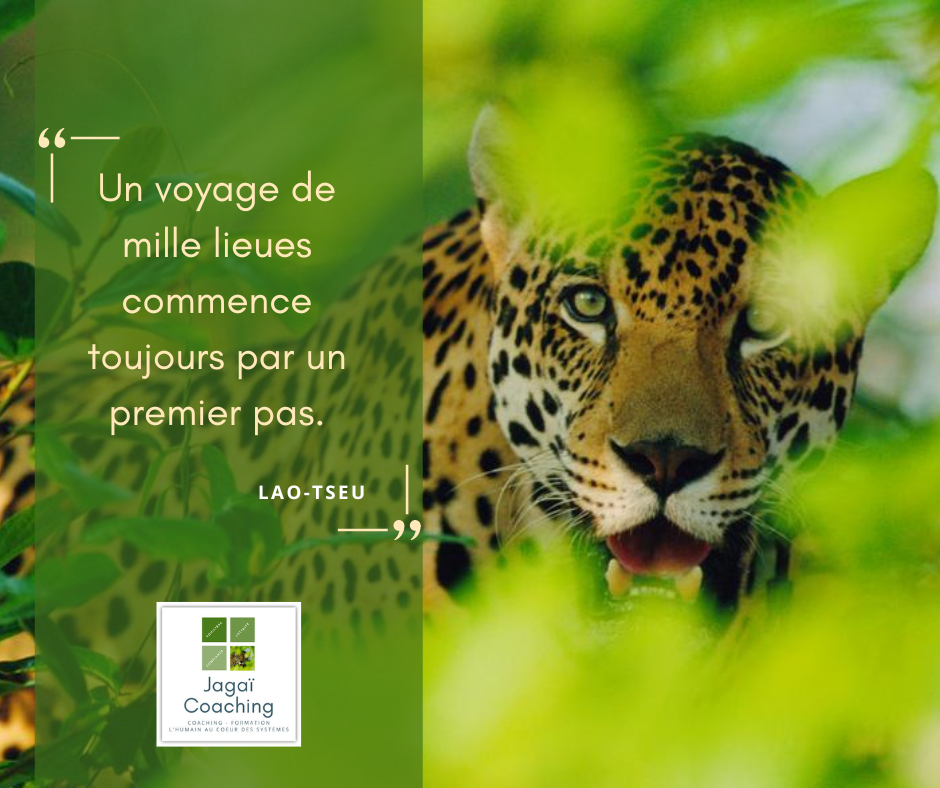 Citation voyage et coaching Jagaï